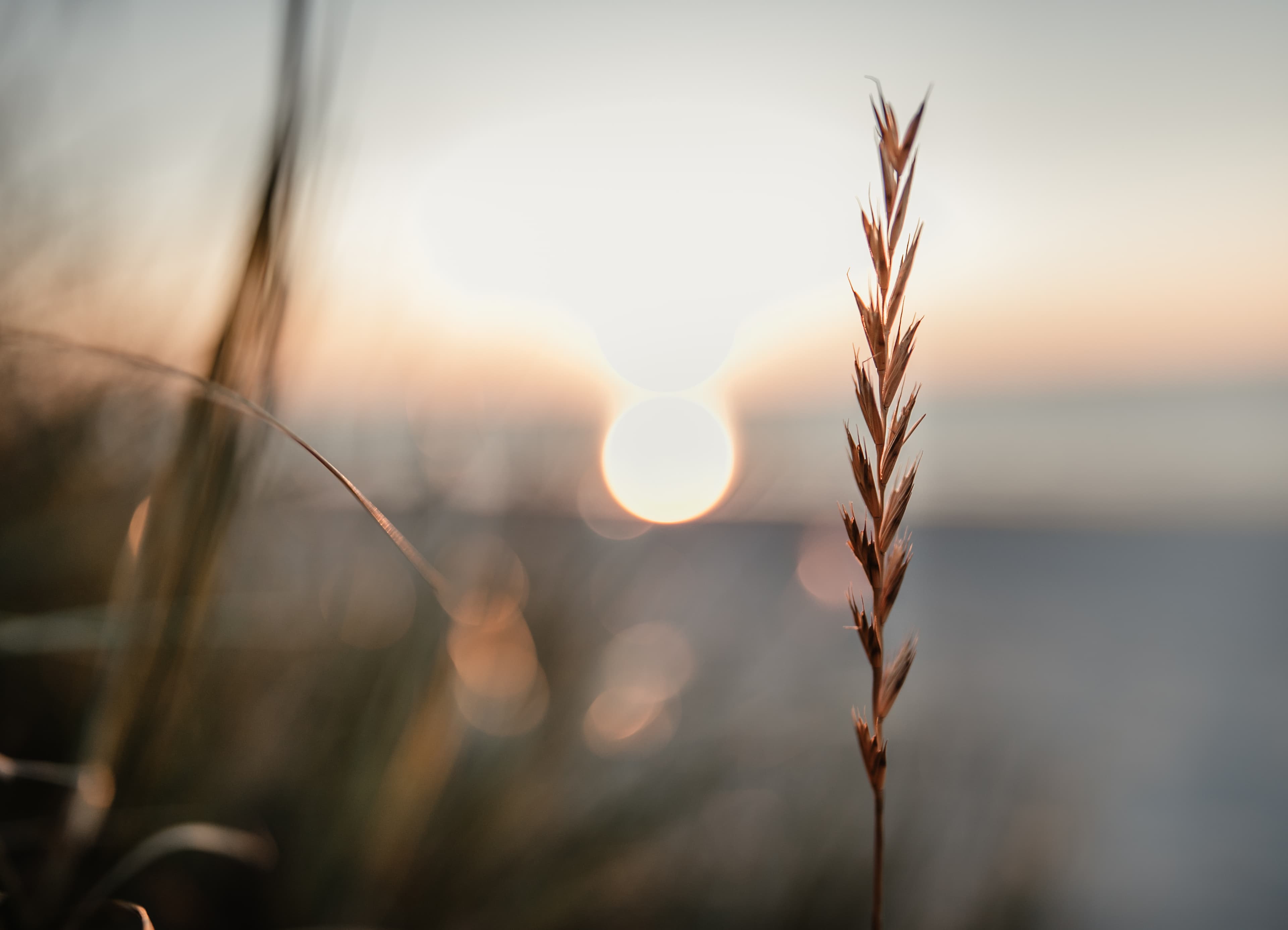 Norderney – Events & Termine, historische Inselarchitektur