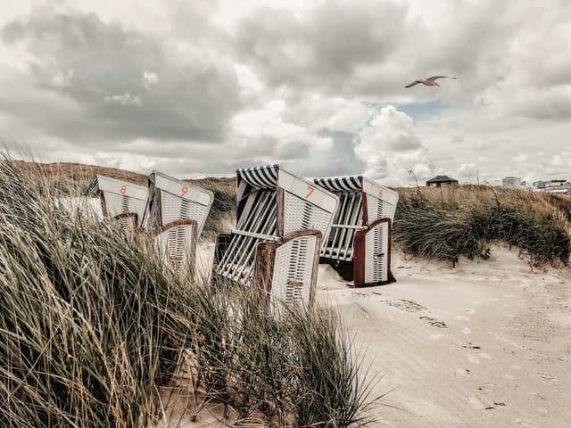 Wattwanderung bei Ebbe