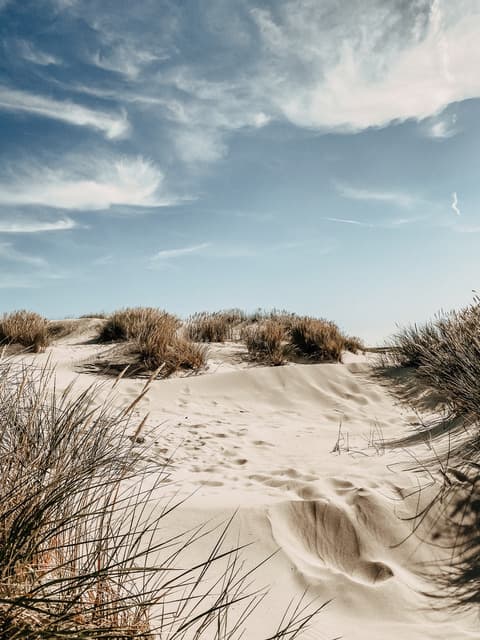 Seebrücke im Morgenlicht
